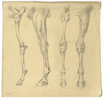 Visualizza l'immagine "FD D 147"